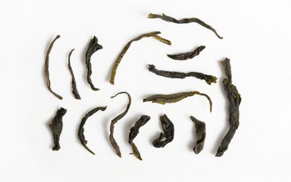MAO FENG TEAROUTE TEA GREEN CHINA MAO FENG TeaRoute Green China Mao Feng