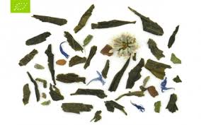 TEA GAIA TEAROUTE TEA GREEN TeaRoute Gaia Green