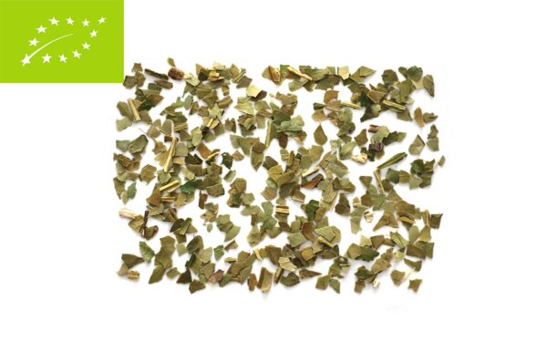 MATE TEAROUTE TEA TeaRoute Mate