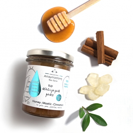 5214000827443 SPREAD HONEY MASTIC CINNAMON 250GR SPREAD HONEY MASTIC CINNAMON 250GR