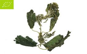 TSOUKNIDA TEAROUTE TEA TSOUKNIDA TeaRoute Tsouknida