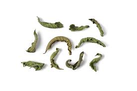 LEMON VERBENA TEAROUTE TEA LOUIZA TeaRoute Lemon Verbena Louiza