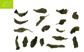 PEPPERMINT TEAROUTE TEA MINT TeaRoute Peppermint Mint
