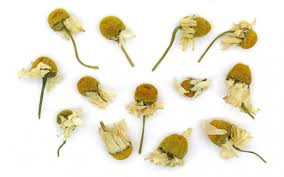 CAMOMILE TEAROUTE TEA CAMOMILE TeaRoute Camomile
