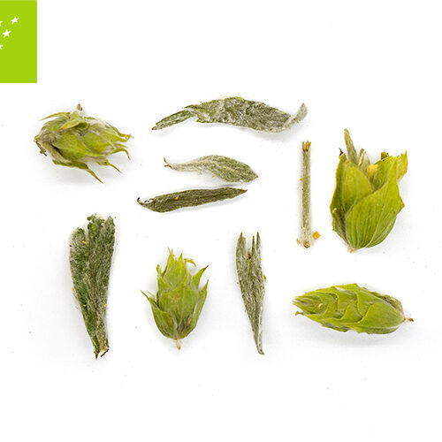 MOUNTAIN TEAROUTE TEA MOUNTAIN TEA TeaRoute Mountain Tea