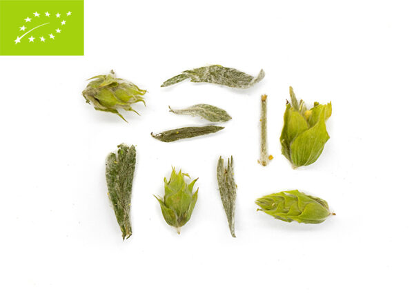 MOUNTAIN TEAROUTE TEA MOUNTAIN TEA TeaRoute Mountain Tea