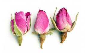 TEA ROSE BUDS TEAROUTE TEA TeaRoute Rose Buds