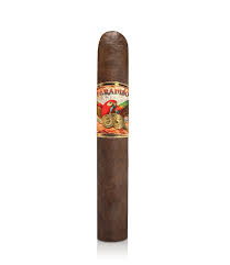 PARADISO CLASICO ROBUSTO